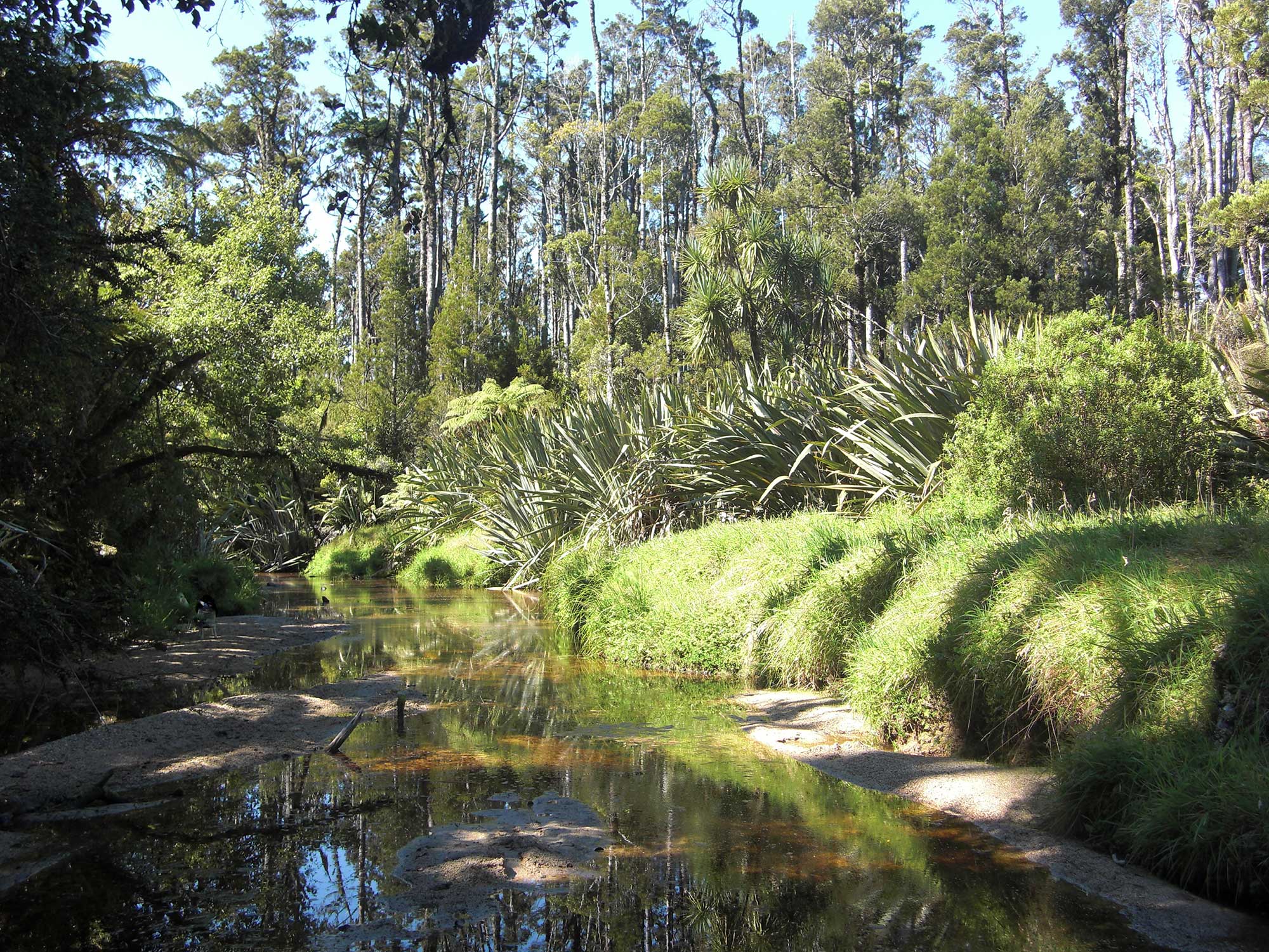 Natural West Coast wilderness near to Paramata Lodge bed and breakfast